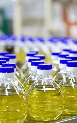 Sofralık Yağ Paketleme