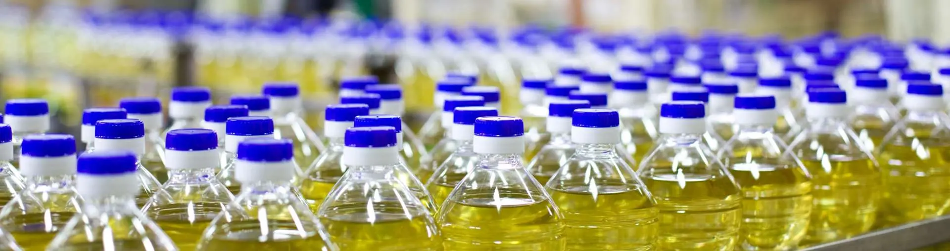 Sofralık Yağ Dolum Makinaları Sofralık Yağ Dolum Makinaları